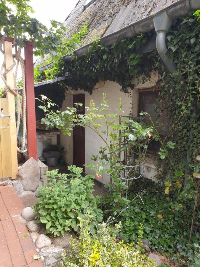 Ferienwohnung Am Osterdeich Dagebüll 外观 照片